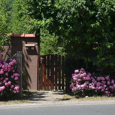 Ferienhaus Negde Na Drini 1 Bajina Basta