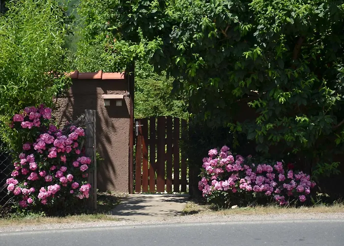 펜션 Negde Na Drini 1 바이나 바슈타